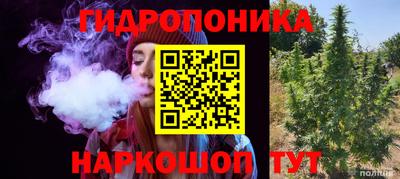 прущие грибы Пушкино