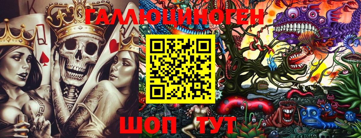 Чита  Галлюциногенные грибы Cubensis  Вход с VPN 